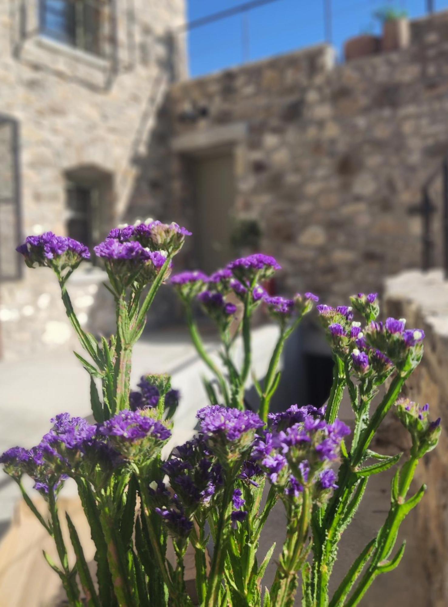 Pyrgi Cretan Living & Spa Pirgos  외부 사진